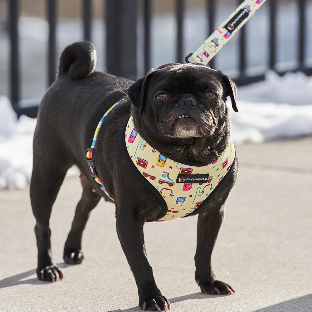 Oui Oui Frenchie Reversible Harness - 80s