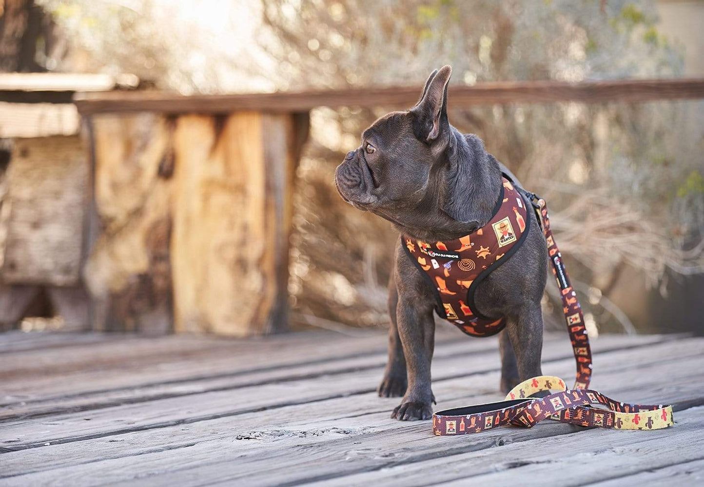 Oui Oui Frenchie Reversible Harness - Texas