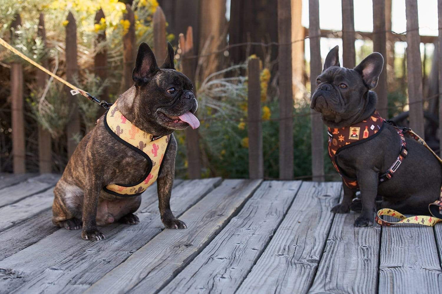 Oui Oui Frenchie Reversible Harness - Texas