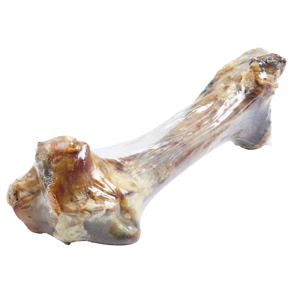 Giant dog outlet bone